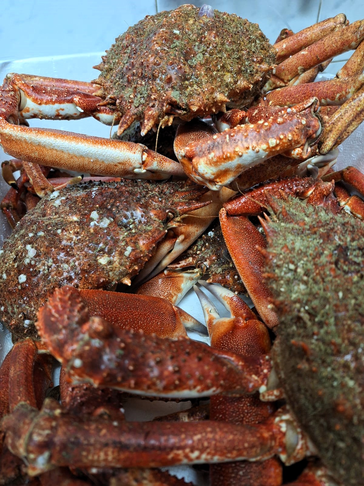 Menu degustation Restaurant Fleur de Sel