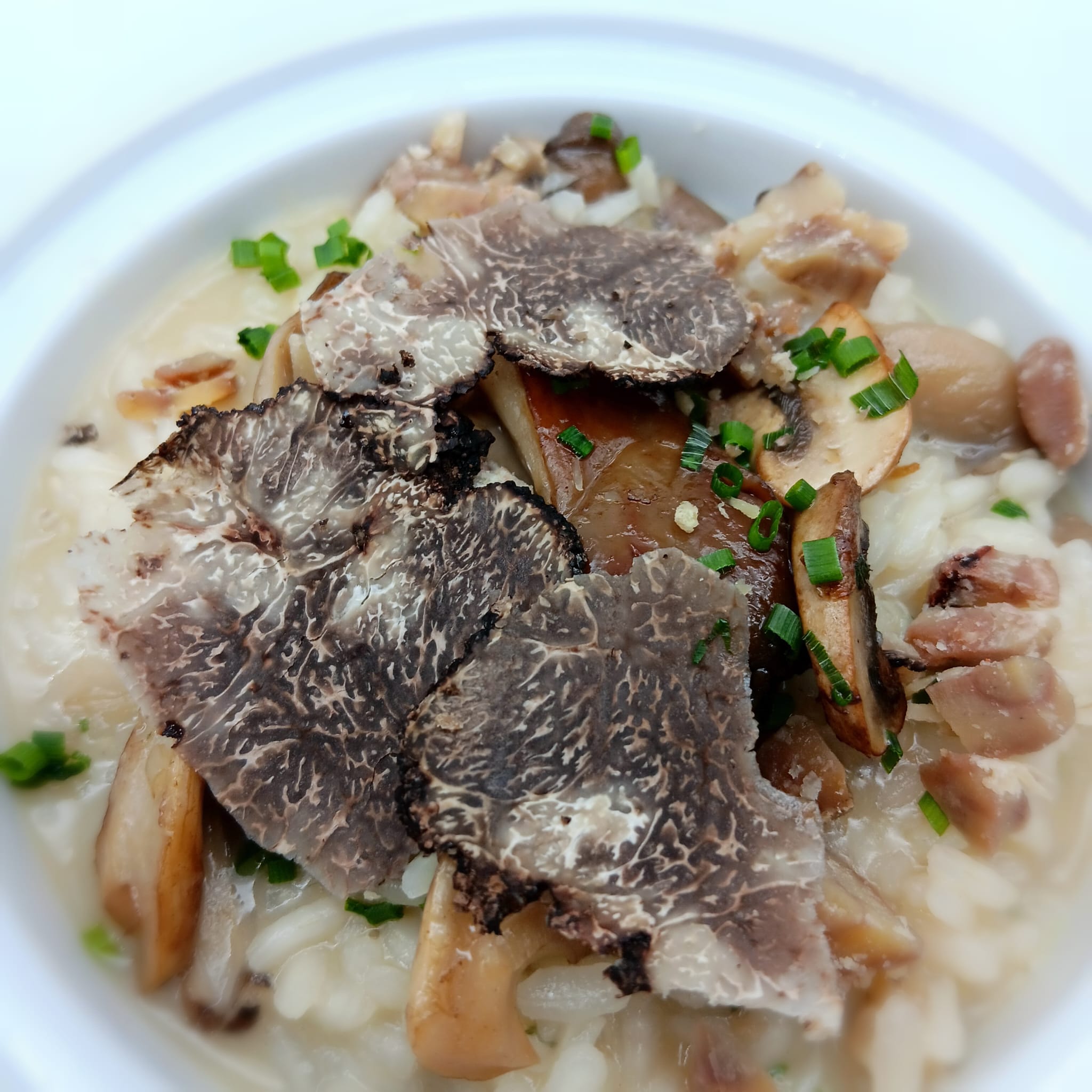 Bienvenue Restaurant Fleur de Sel